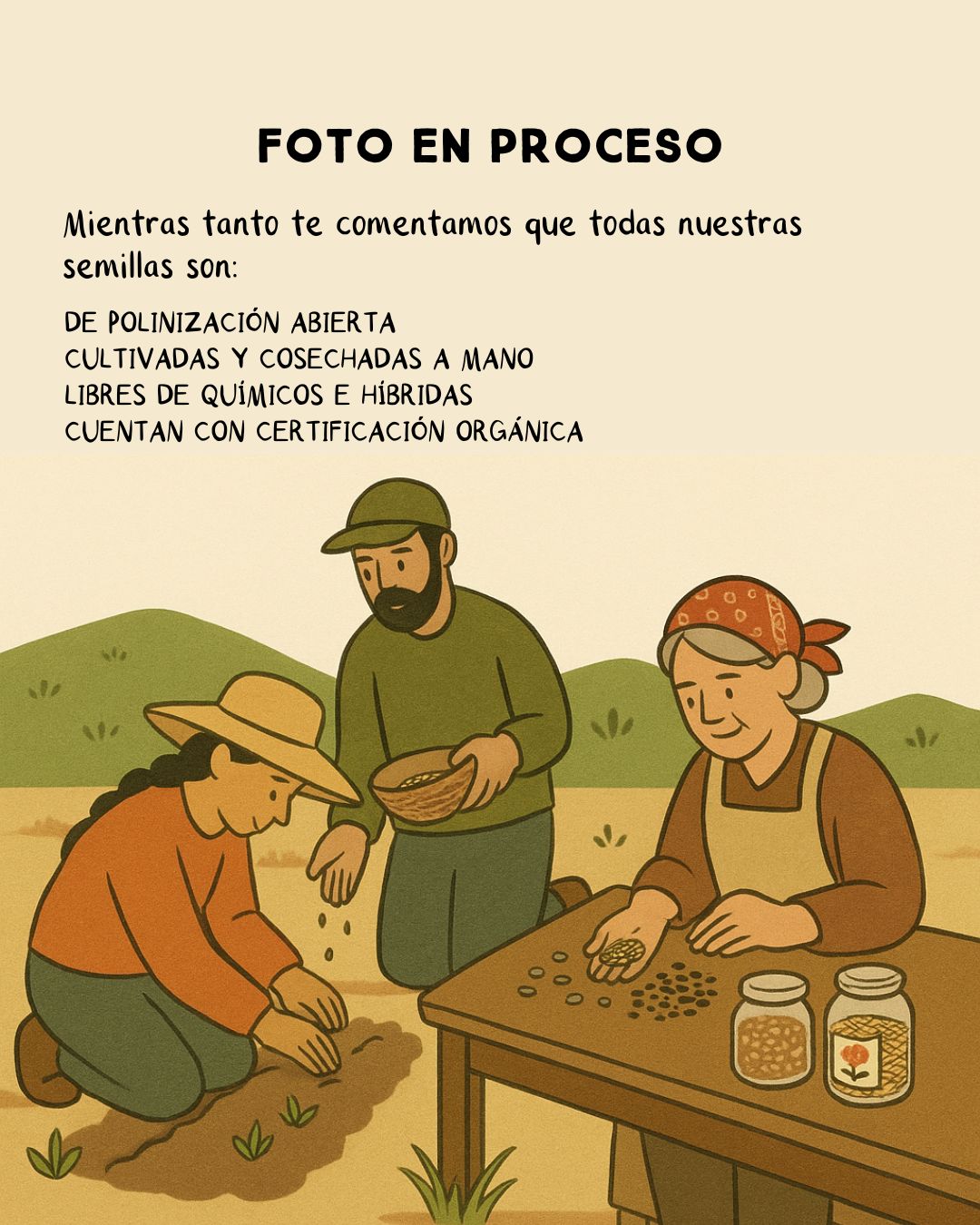 Semilla de Tomate Rosado Orgánicas Regenerativas