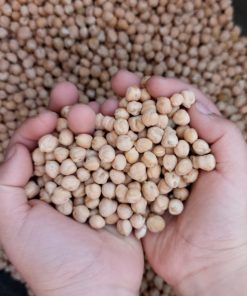 Garbanzos Orgánicos con Piel