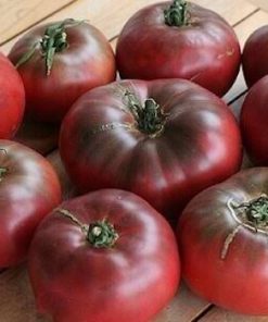 Semillas de Tomate Cherokee Orgánicas Regenerativas