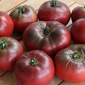 Semillas de Tomate Cherokee Orgánicas Regenerativas