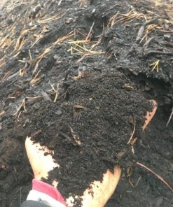 VivoCompost - Compost Biológico 20kg