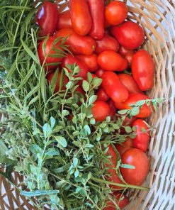 Semillas de Tomate Salsero Orgánicas Regenerativas